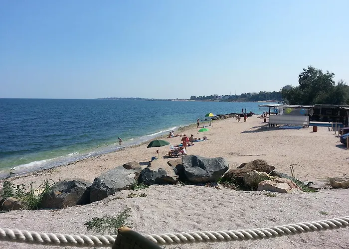 Verda 艾福雷诺德